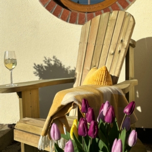 Adirondack Chair