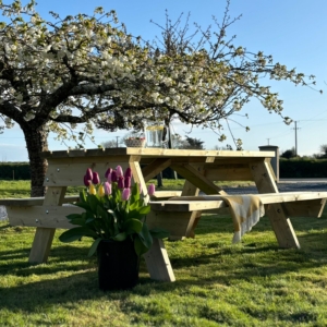 Heavy Duty Picnic Bench